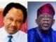 Shehu Sani, Tinubu