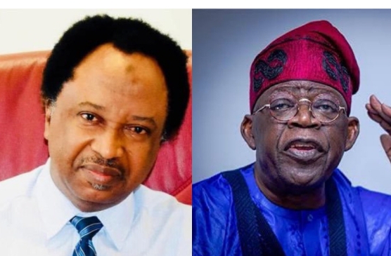 Shehu Sani, Tinubu