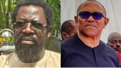 Dele Farotimi, Peter Obi