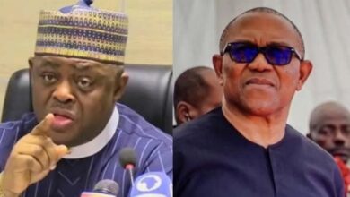 Fani Kayode, Peter Obi