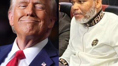 Mazi Nnamdi Kanu Honorary Citizenship In Georgia