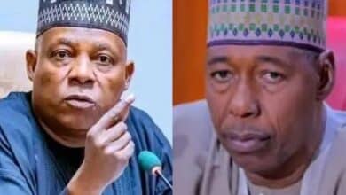 Shettima, Zulum